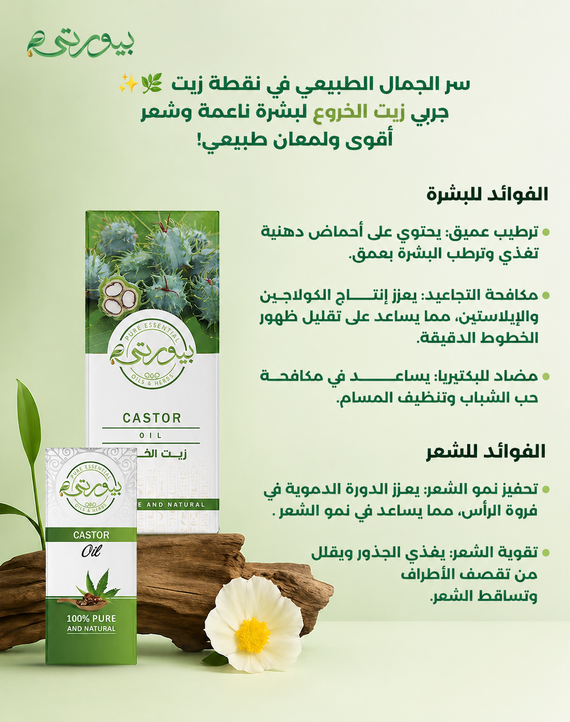 زيت الخروع