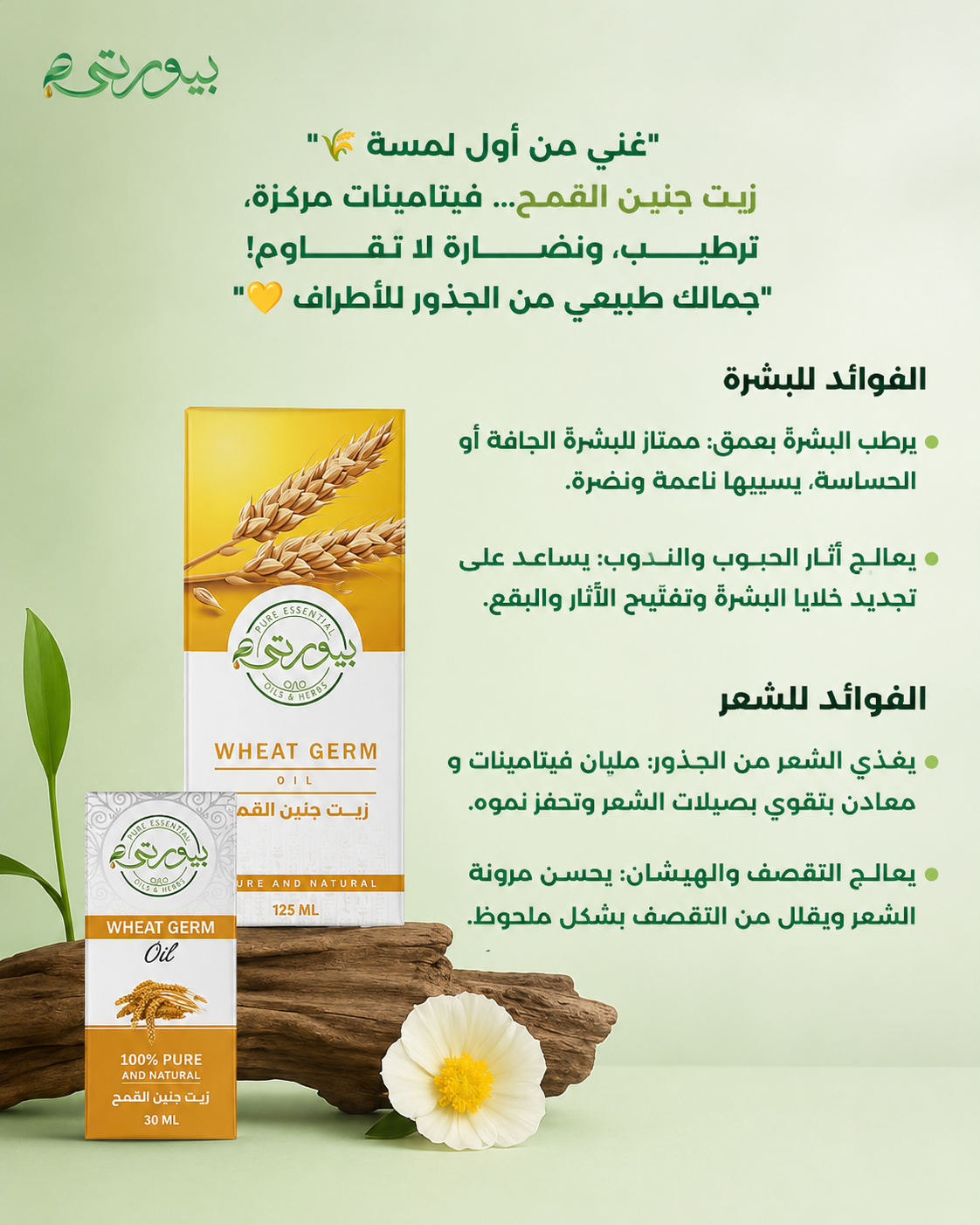 زيت جنين القمح