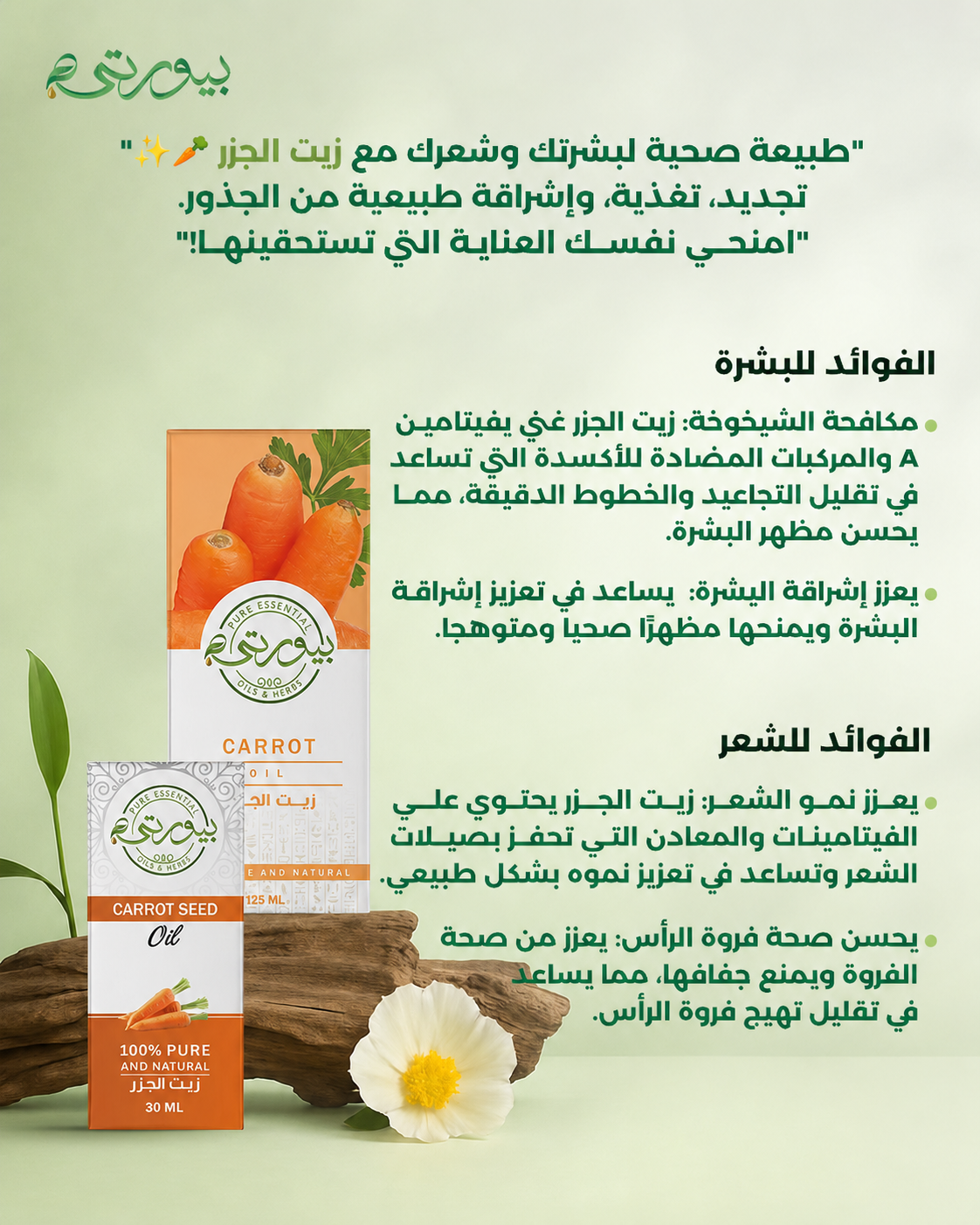 زيت الجزر