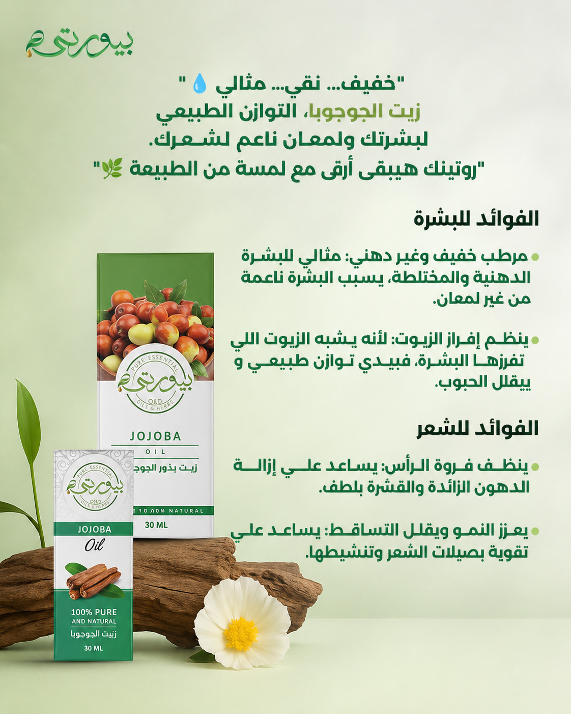 زيت الجوجوبا